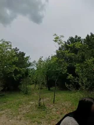 -Pypsiki- - bongacams