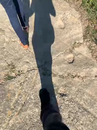 AbylineandJim - stripchat