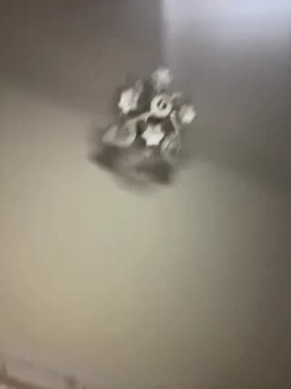 BellaAndAlice - bongacams