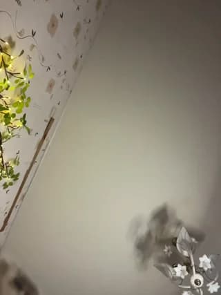 BellaAndAlice - bongacams