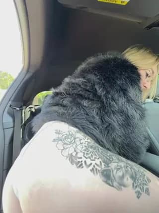 Giuliana_baby - stripchat