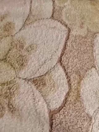 Her-Girl - bongacams