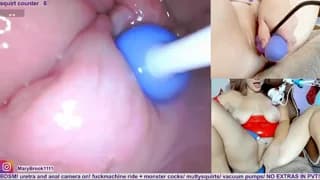 MaryBrook1 - stripchat