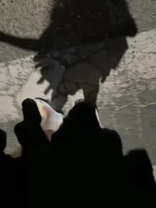 Meii-meyy - stripchat