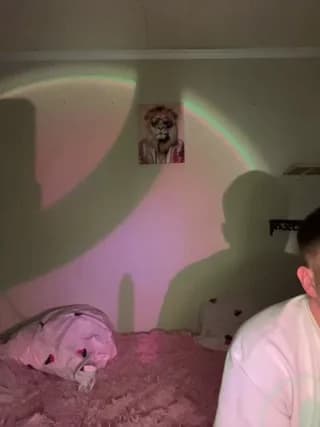 Mollify-1594444 - bongacams
