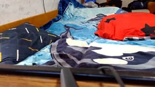 SexPara696969 - bongacams