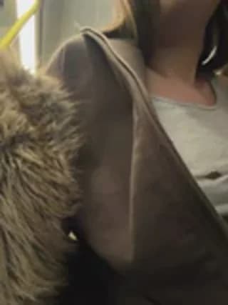 Sophie_Avory - stripchat