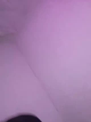 Tomsan - bongacams