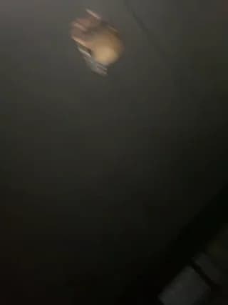 VelvetPassion - stripchat