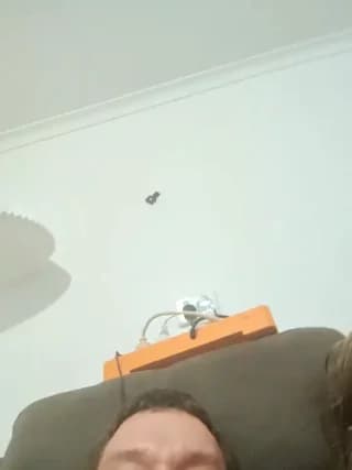 biggnipz - stripchat