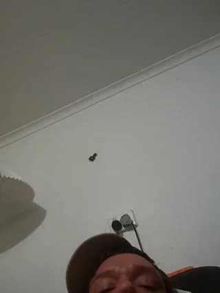 biggnipz - stripchat