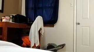 cat_daddy2121 - chaturbate