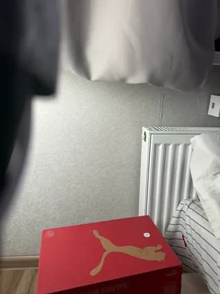 daddySgirl9 - bongacams