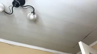 darlenapfirsch - chaturbate