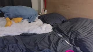 kent_mod - chaturbate