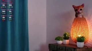 orvacurington - chaturbate