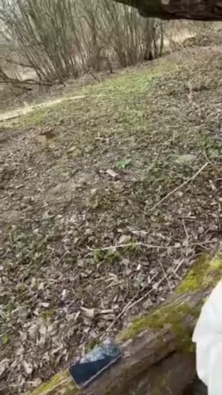 salfetka_sex - stripchat