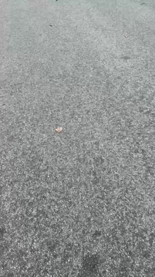 salfetka_sex - stripchat