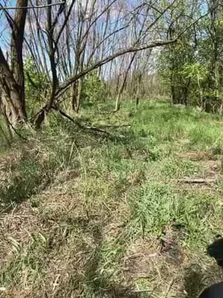 sexycouples35 - stripchat