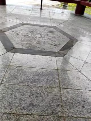 shaoshao-7758 - stripchat