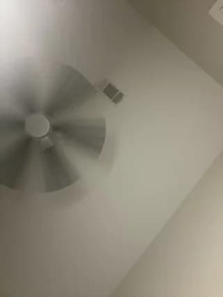 treasurebabii - stripchat