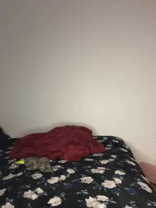treasurebabii - stripchat