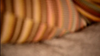 claudia_and_elon thumbnail